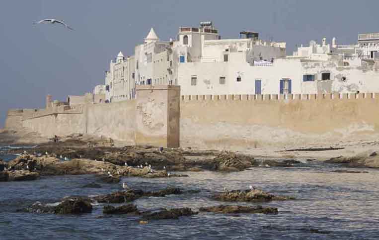 Day Trip to Essaouira 