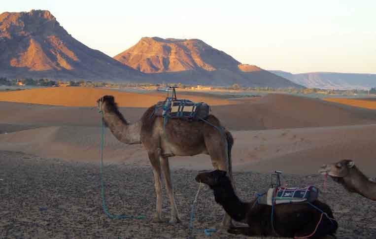 Desert Tour from Marrakech To Zagora Desert & Camel Ride